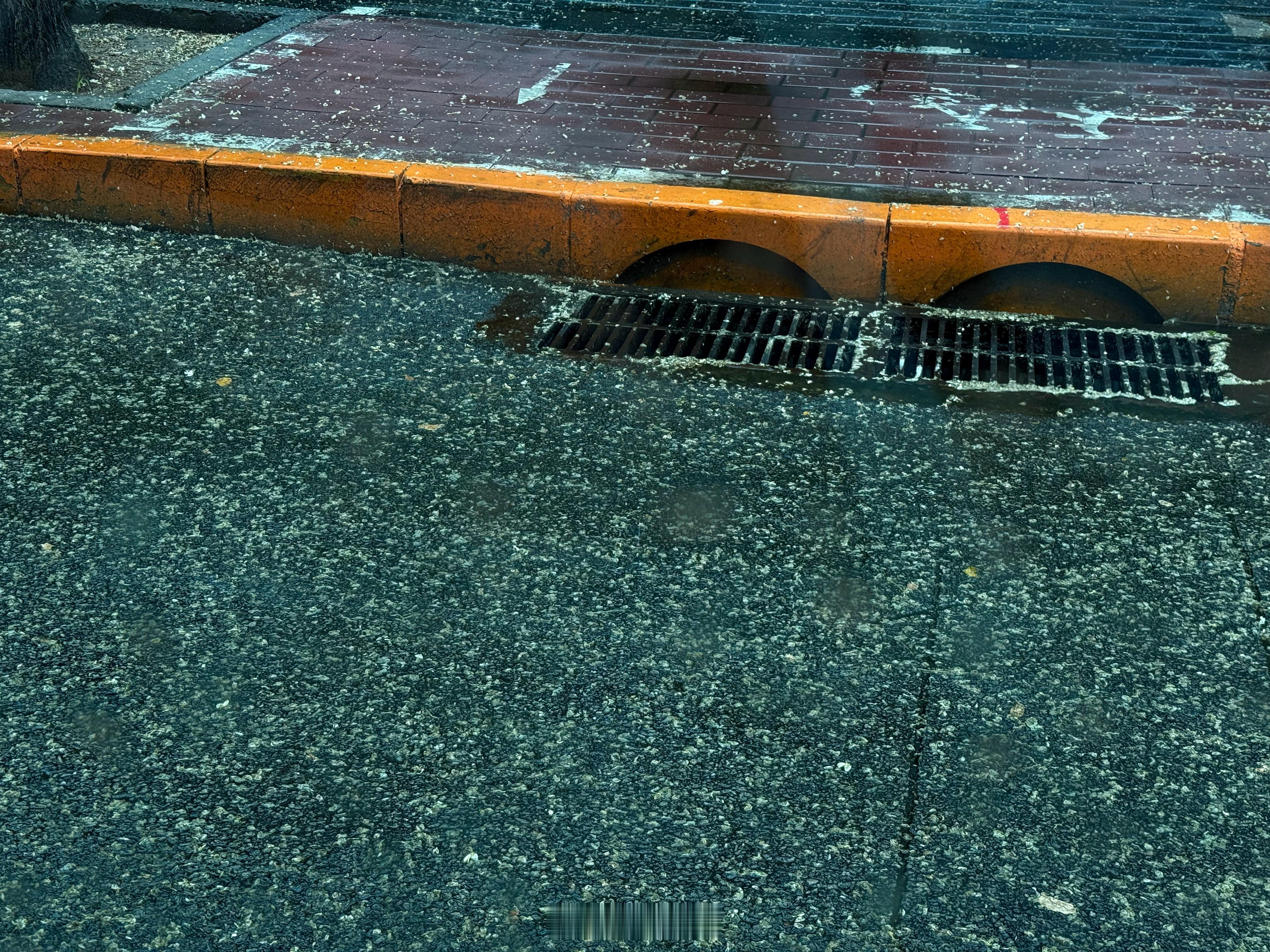 槐花落满地之后再加下雨……这快赶上下雪了​​​