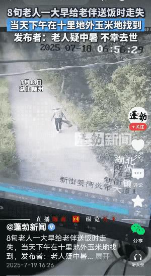 泪目！湖北随州，八旬大爷清晨下地干活，老伴怕他饿，提着饭篮、拄着拐杖，冒着酷暑，