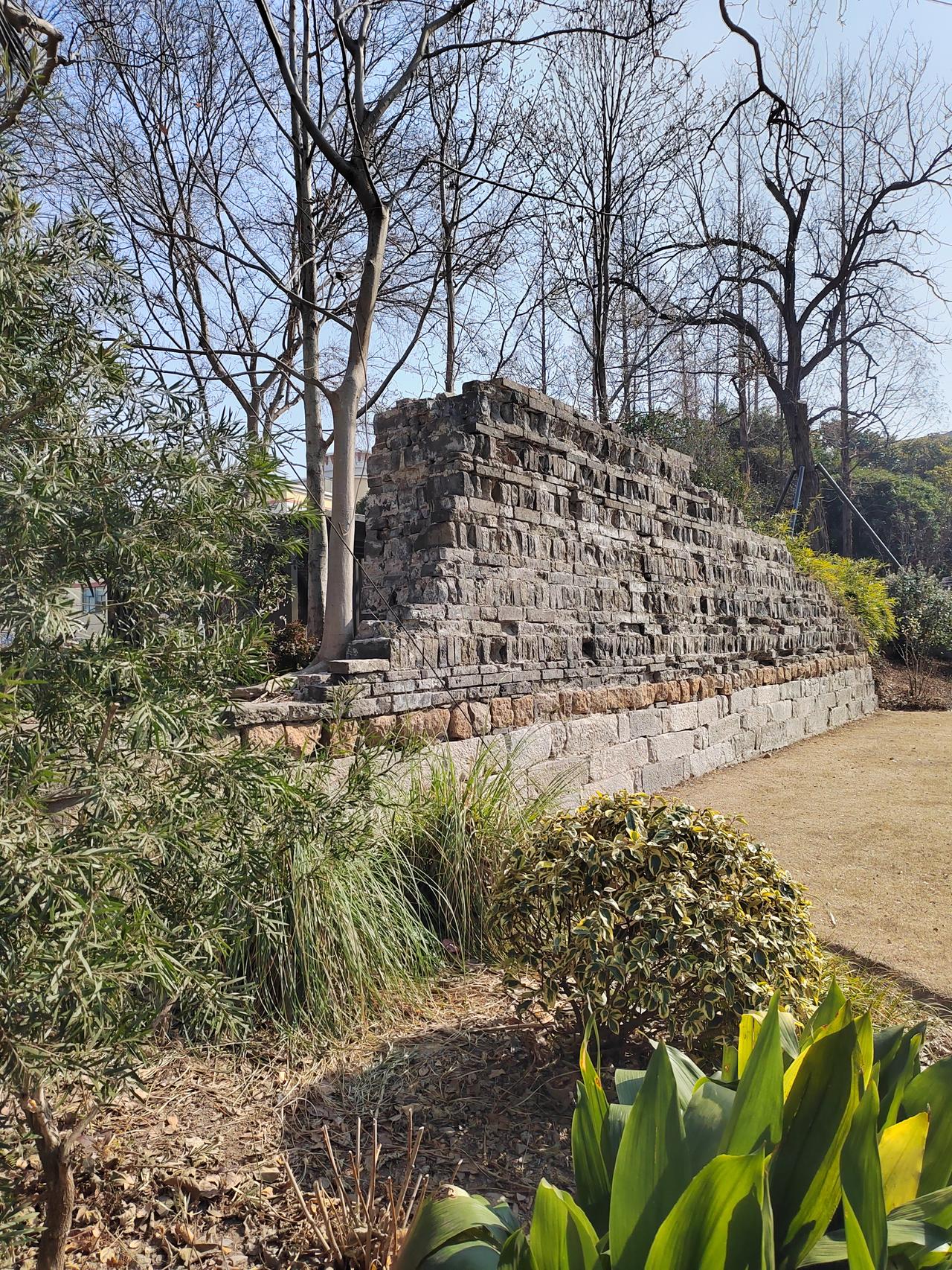 往年春节前，我80岁的老妈都会去看望她的大姐，但是今年没法去，因为我101岁的