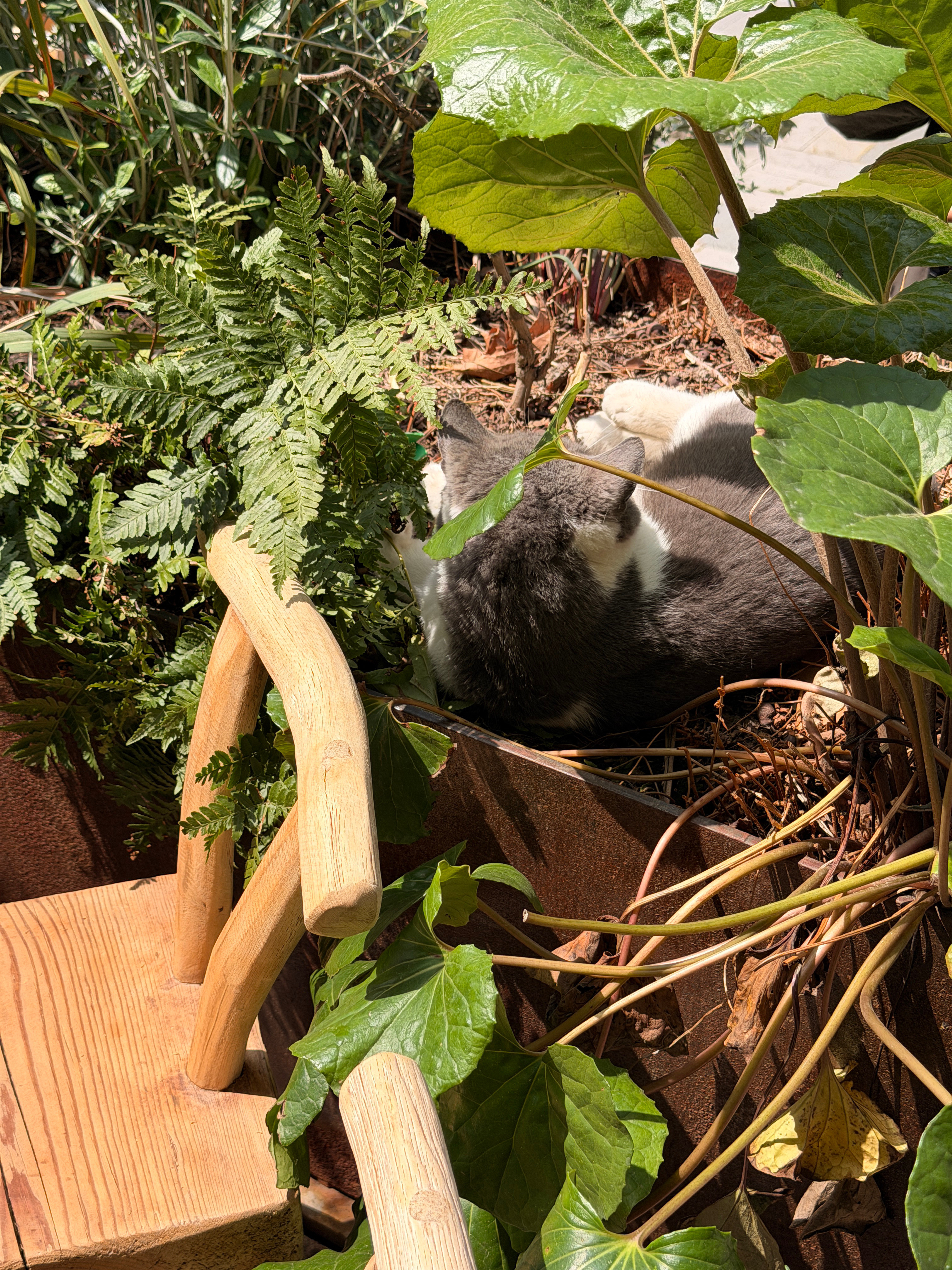 还是晒太阳🌞舒服啊～合肥