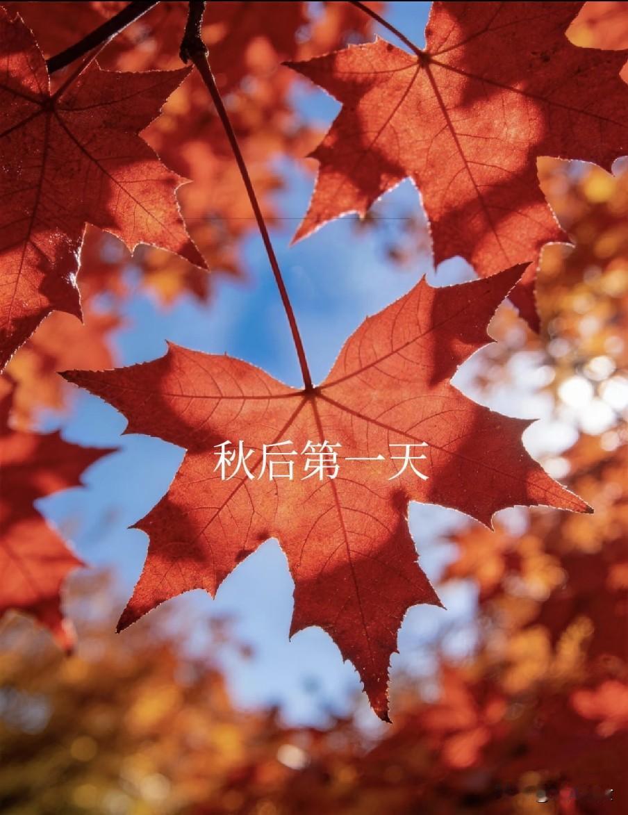 不是迷信！今日秋后第一天，记得：1不去，2不穿，3不吃，别大意刚入立秋首日