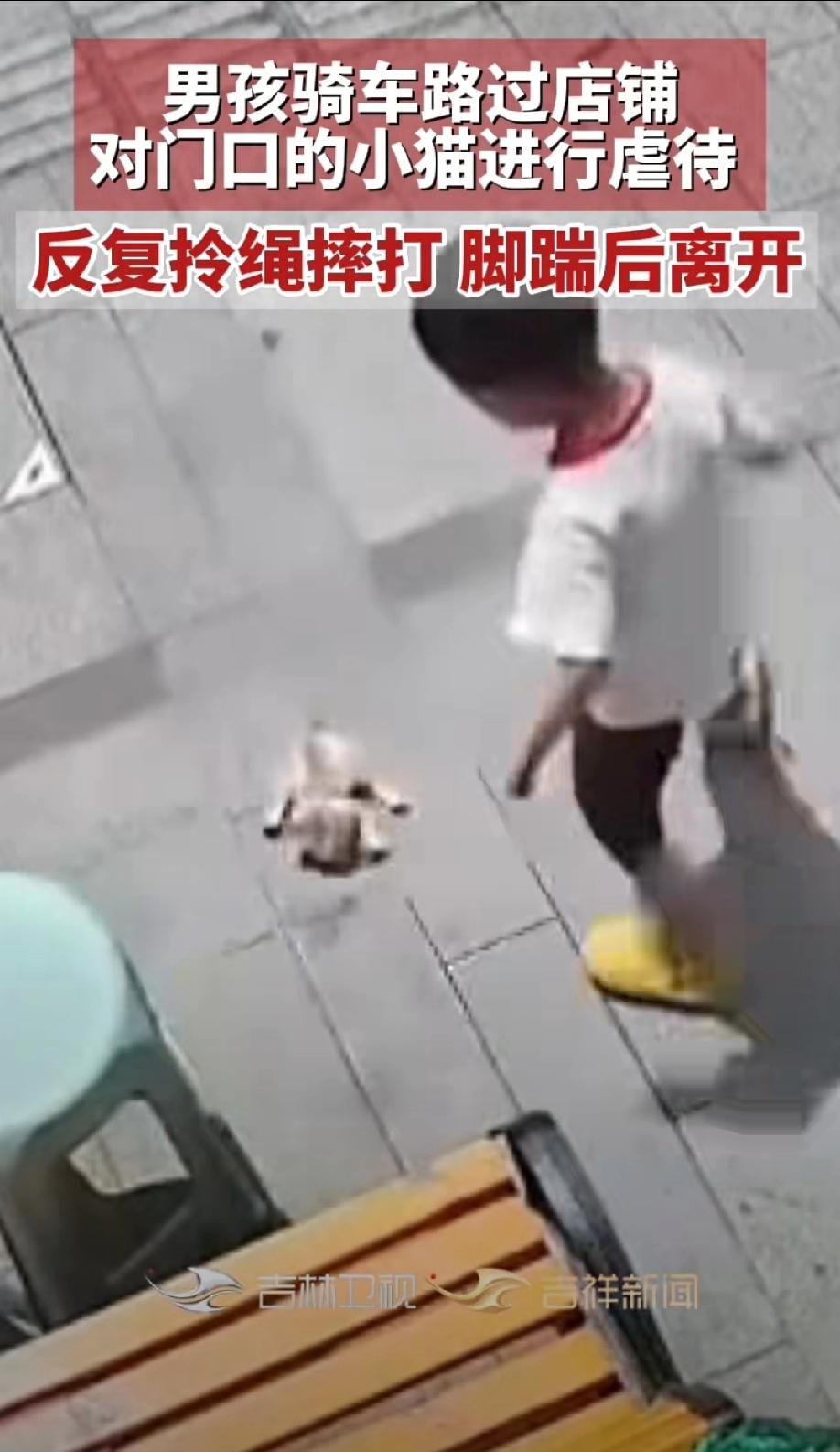辽宁，一店铺门口拴着一只小奶猫，一名约5、6岁小男孩骑车路过，竟对小猫做出不当伤