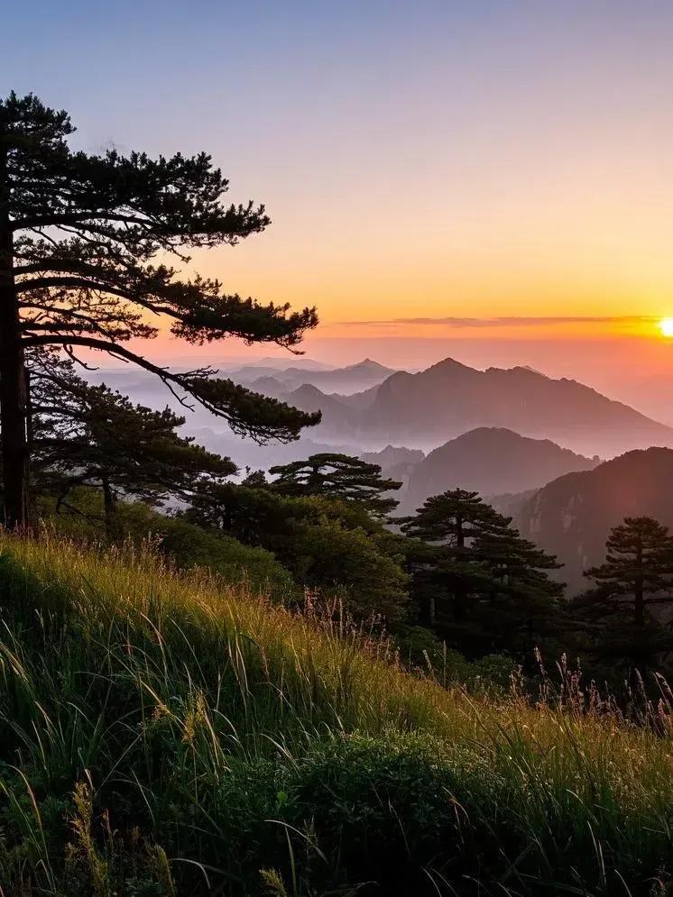 黄山暮色起，树木沙沙作响，清新草木气息弥漫，满是对夕阳美景的沉醉与回味。黄山的落