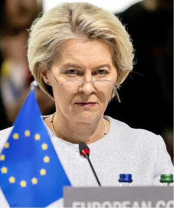 一针见血啊!奥地利前外长克奈斯尔认为在欧盟主席冯德莱恩等人的带领之下,欧盟正在逐