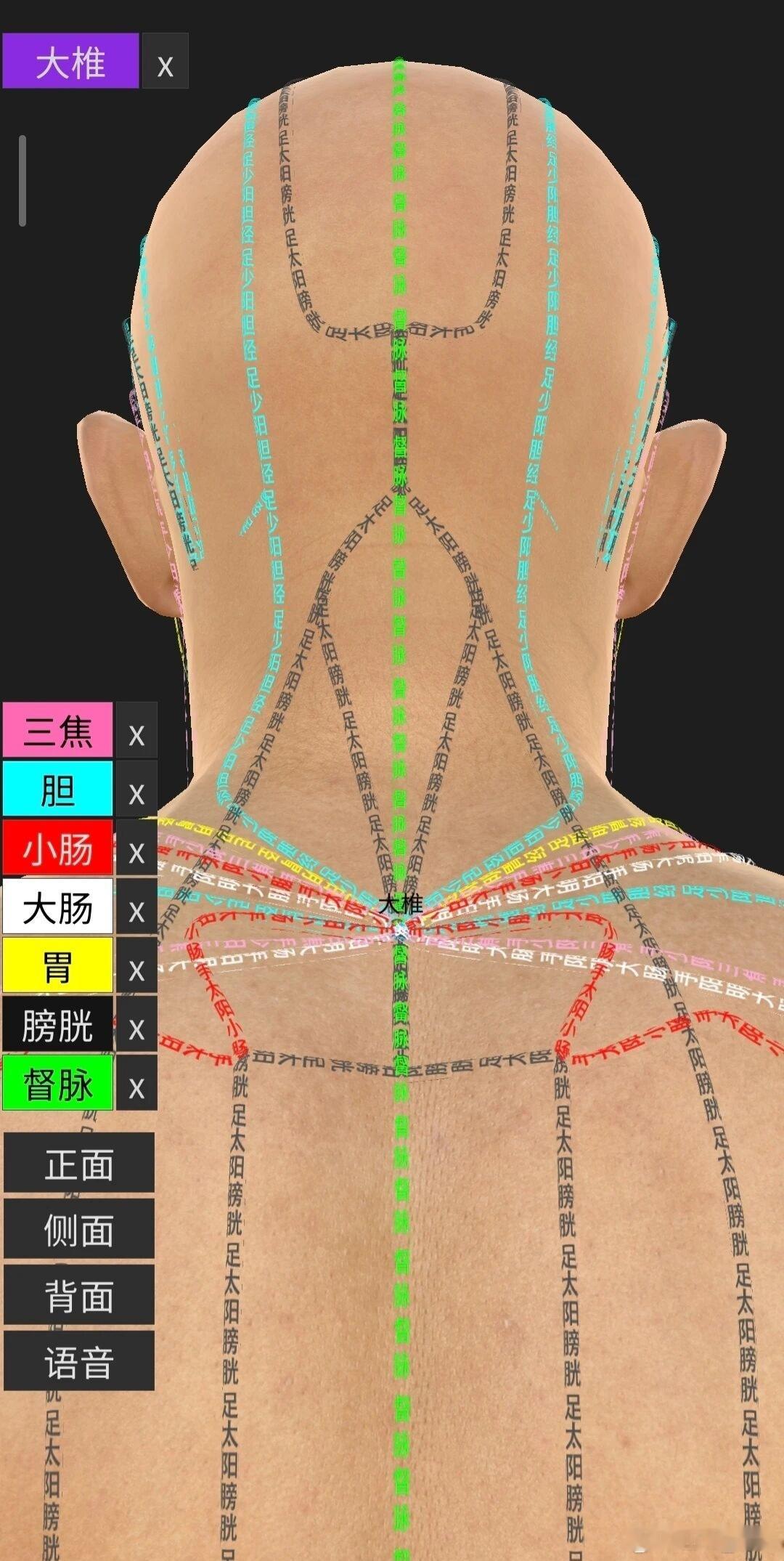 梳理印证：大椎为诸阳之会六条阳经明细手足三阳六条经脉全都汇聚于大椎穴：1. 太阳