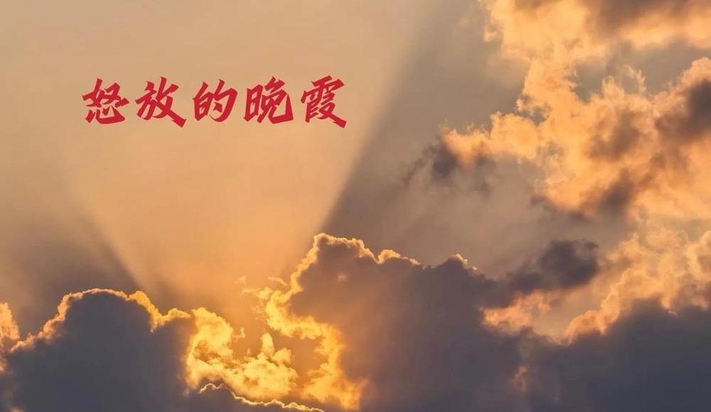 谁能想到，活过80岁的概率居然只有16%？这年头，想长寿简直比考清北还难！网上