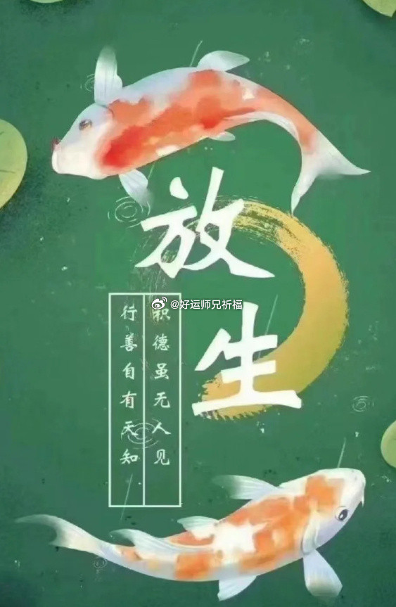 救度生灵、续众生性命🙏可消三灾百厄，护身安康、增福寿，化解业障、扭转运势。为自