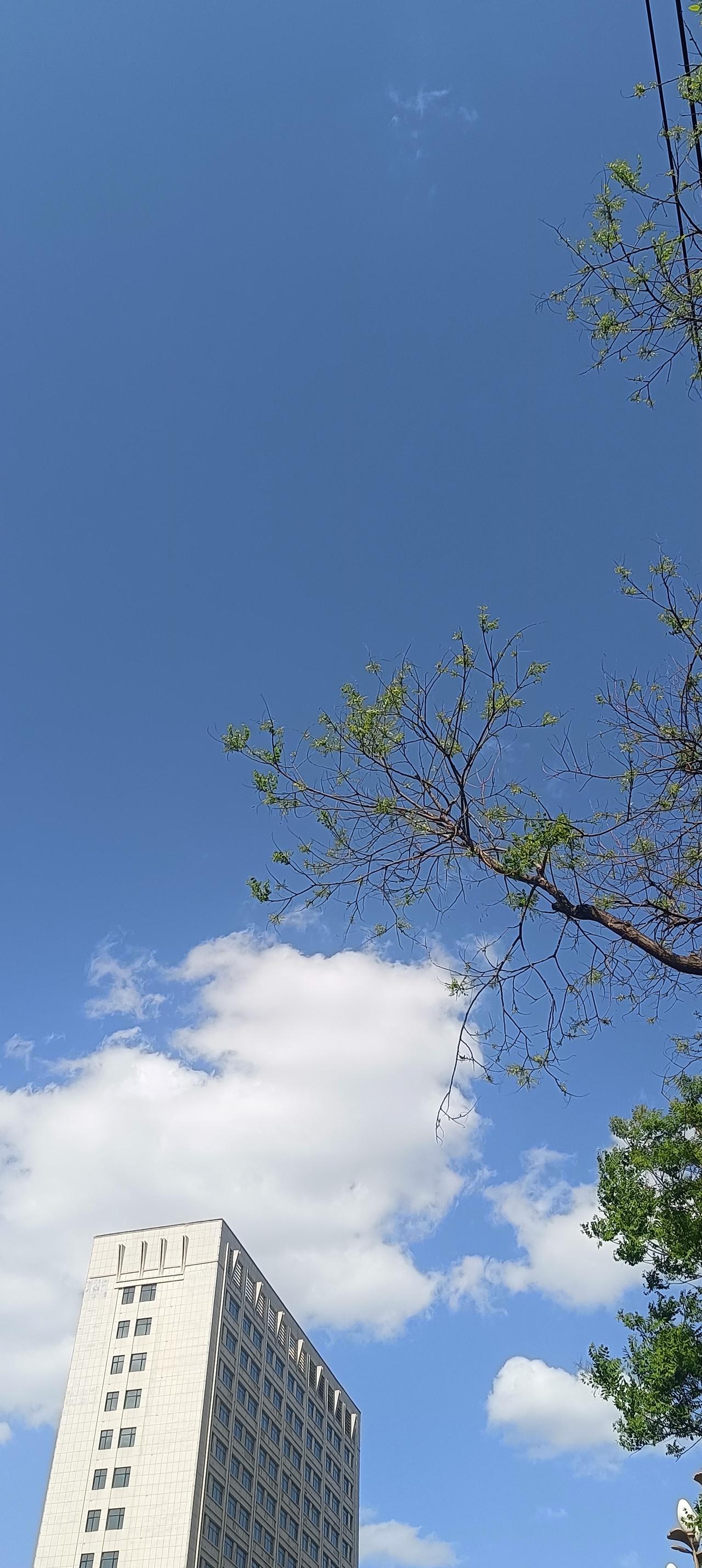 我认为关系重要5条超实用职场生存法则，都是心法判断一个人有没有心机和城府，只