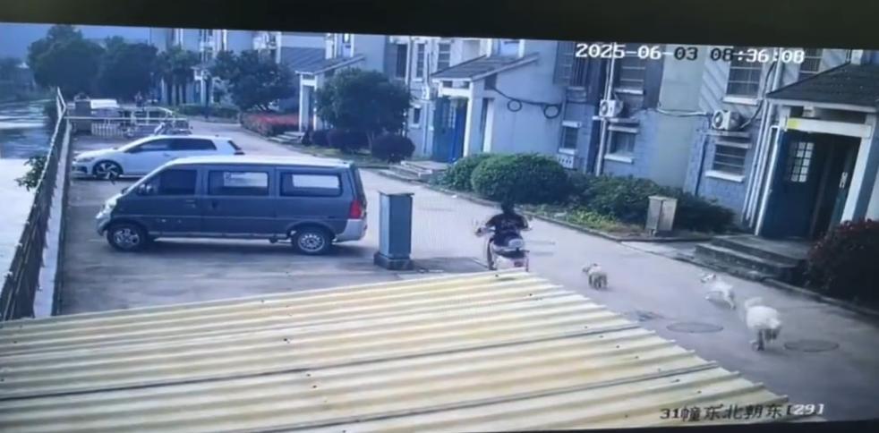 6月3日早8:35分左右，江苏省常州市武进潘家永丰苑小区，孕妇乐乐（化名）骑着电