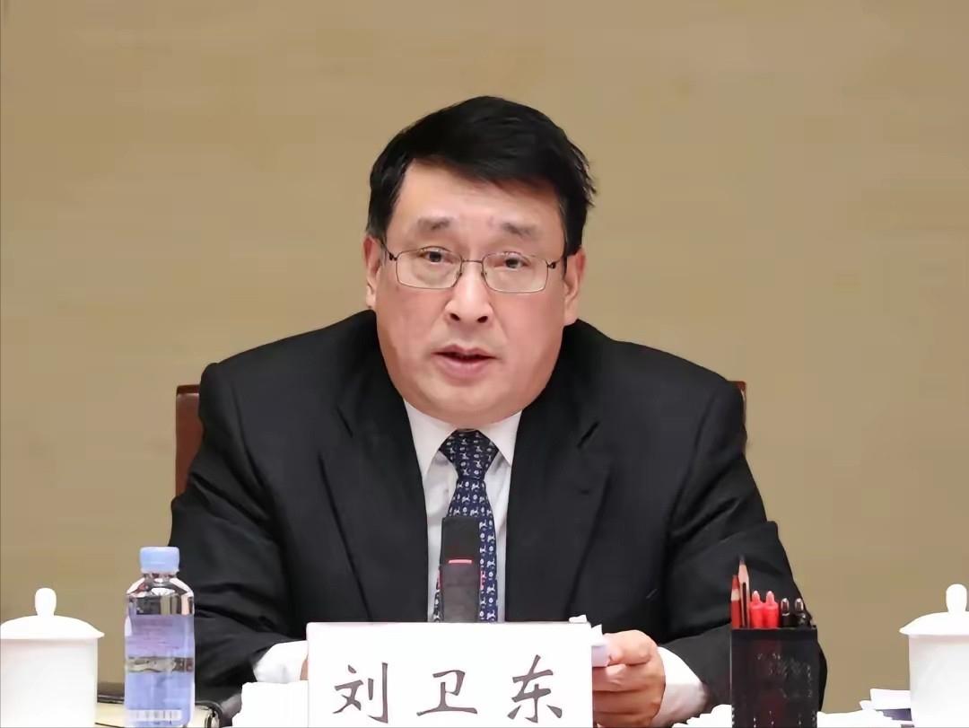 “不要忙着打日本，中国应该去全国各地的武器仓库突击大检查，我相信不止一个刘卫东，