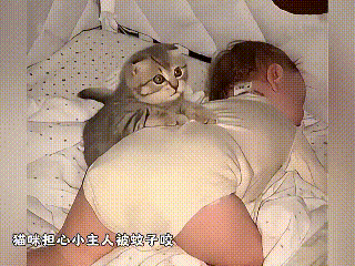 刷到这个视频，心都要被暖化了！原来小猫咪的爱，真的藏在细节里～视频里，小主