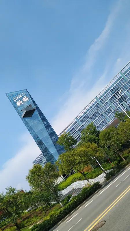 为什么现在很多人已不迷北上广深而蜂涌长三角，因长四角有未来世界前景和睹城。长鑫科