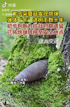 真是真吓人！黑龙江，一男子进山采蘑菇时，看到有颗树里卡了个铁疙瘩，出于好奇便过去