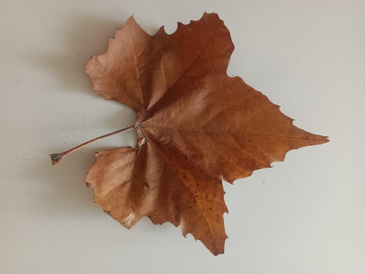 你说这个孩子他该不该要？45岁的孙先生：该当爷爷的年纪当了爹，别人都说是个喜事