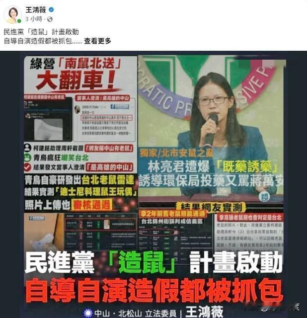 沈伯洋参选起手式，“南鼠北送”直击蒋万安“命门”！沈伯洋被民进党拱为台北市长