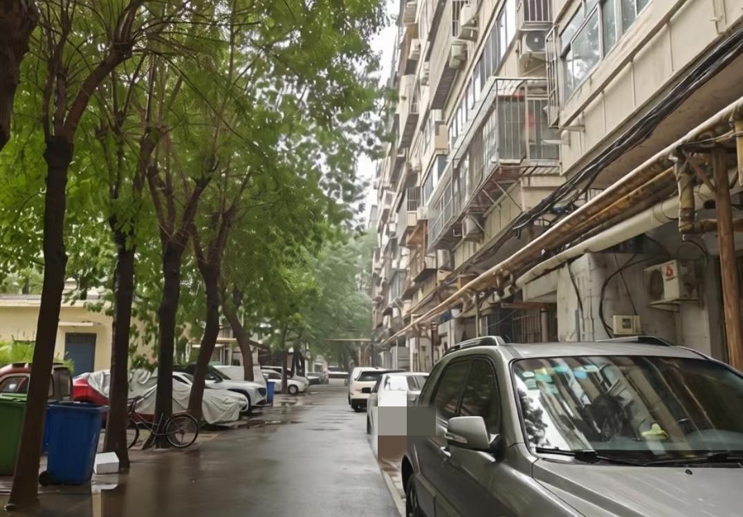 一对山东985毕业的小夫妻，勇敢跳出舒适圈，辞掉老家安稳的国企与事业单位工作