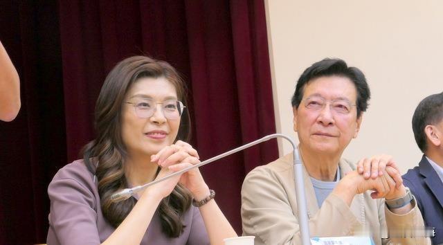 郑丽文、赵少康同框相拥，两人在场互动热络，“战斗蓝”要归队了？众所周知，自从