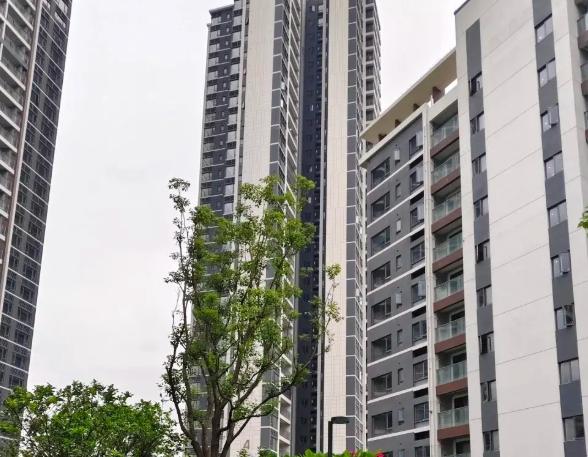换了3套房子才明白，这4个楼层越住越舒服，是真正的“黄金楼层”！买房别光看价格，