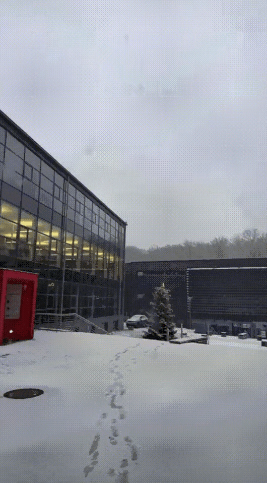 1月3日，樊振东ins发了一张雪景照片！雪地里的一趟脚印延伸到大厅，大厅里灯