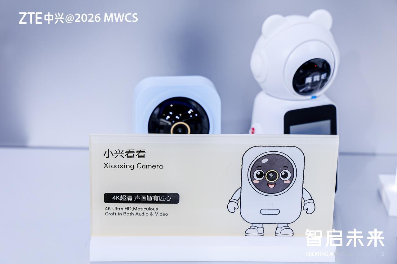 中兴通讯作为有40年的老牌通讯厂商，目前已经是国内头部的通信技术领导企业，服务全