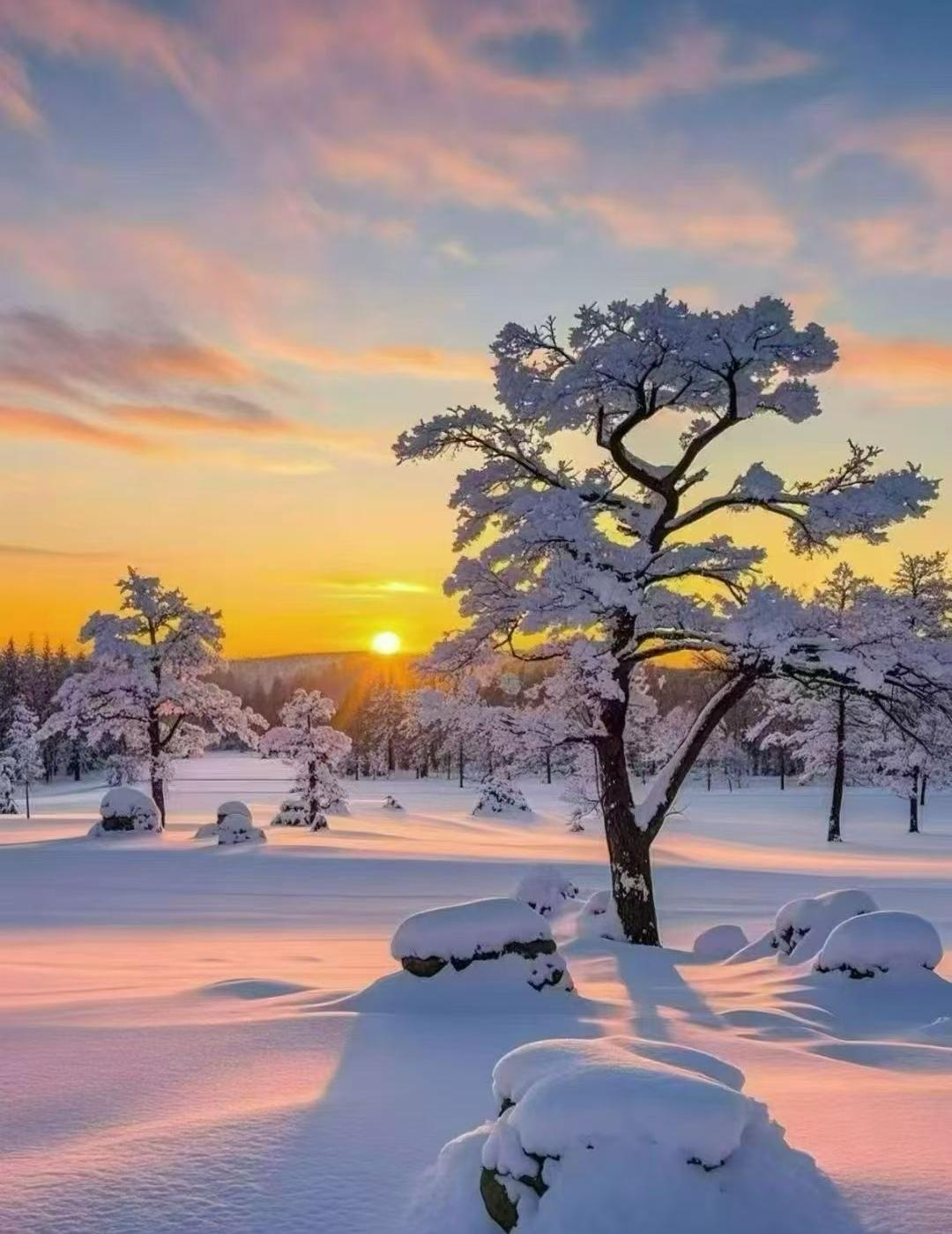当第一片雪花掠过威海的港湾，这座山海相拥的小城便开启了冬日的浪漫序章。大雪如千万