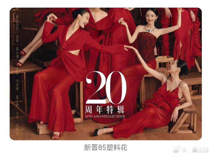 没有审美全是梗图张小斐迪丽热巴双人画报​​​