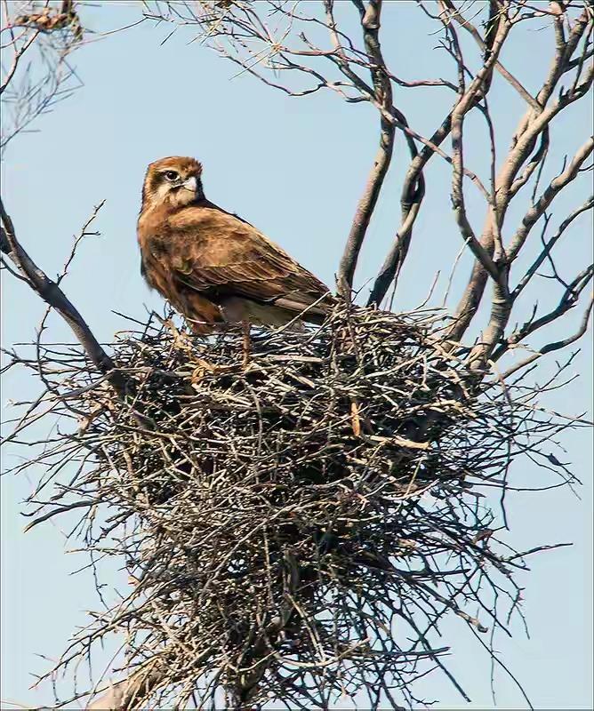 教学成绩,是教师一个人主导的吗?绝对不可能的，对学校而言，首先是班级的班风，跟良