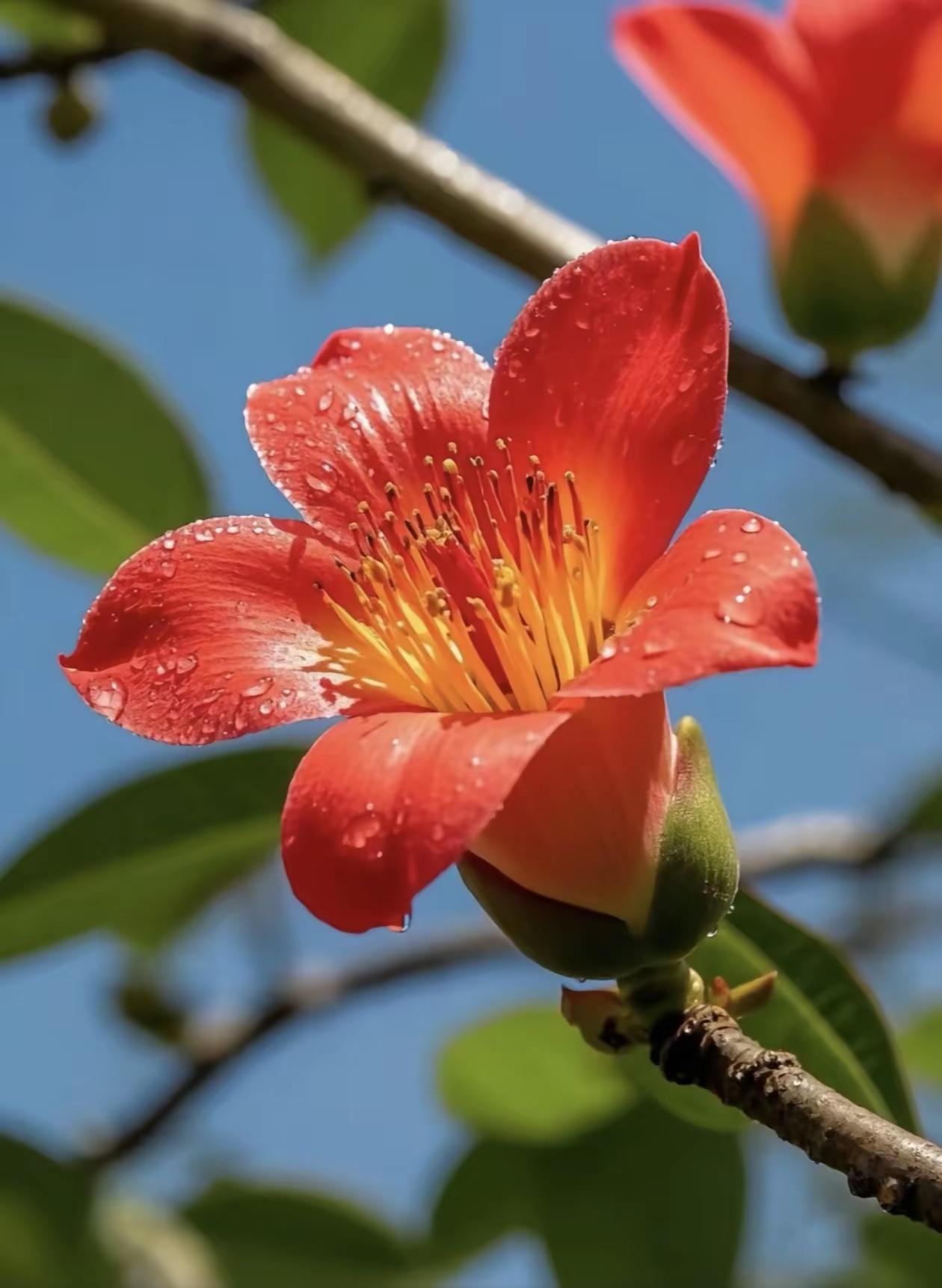 学会欣赏自己不必总盯着别人的光，忘了自己也在发亮。学会欣赏自己，
