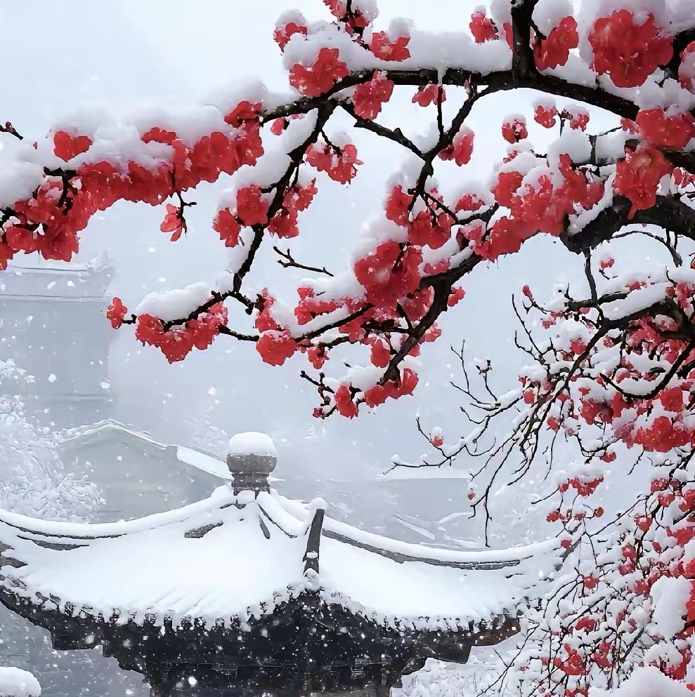 开年一月，北京二手房市场走出了翘尾行情？总网签量能否突破12万+?数九隆冬，