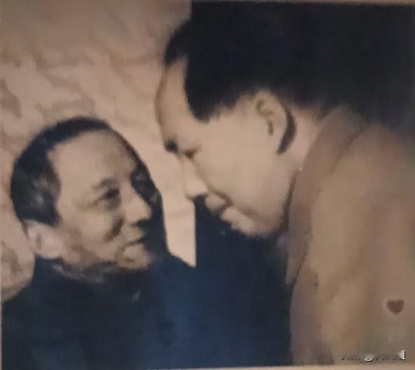 中国画副院长陈半丁曾经对毛主席这样评价:您改天换地，是山水画家，您帮助我们改造