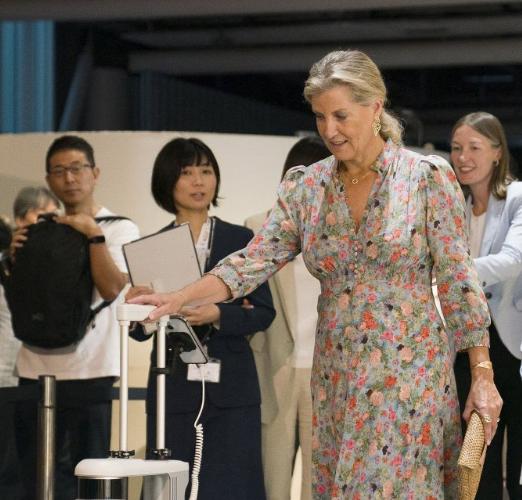 爱丁堡公爵夫妇访问日本，英国王室影响力降低，难以再现当年戴安娜王妃引起的轰动。