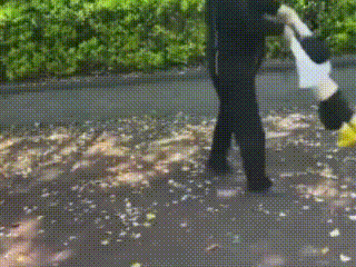 “无知太可怕了！”江苏一处公园，散步休闲的路人无意间抬头一看，一位老人双手各抓着