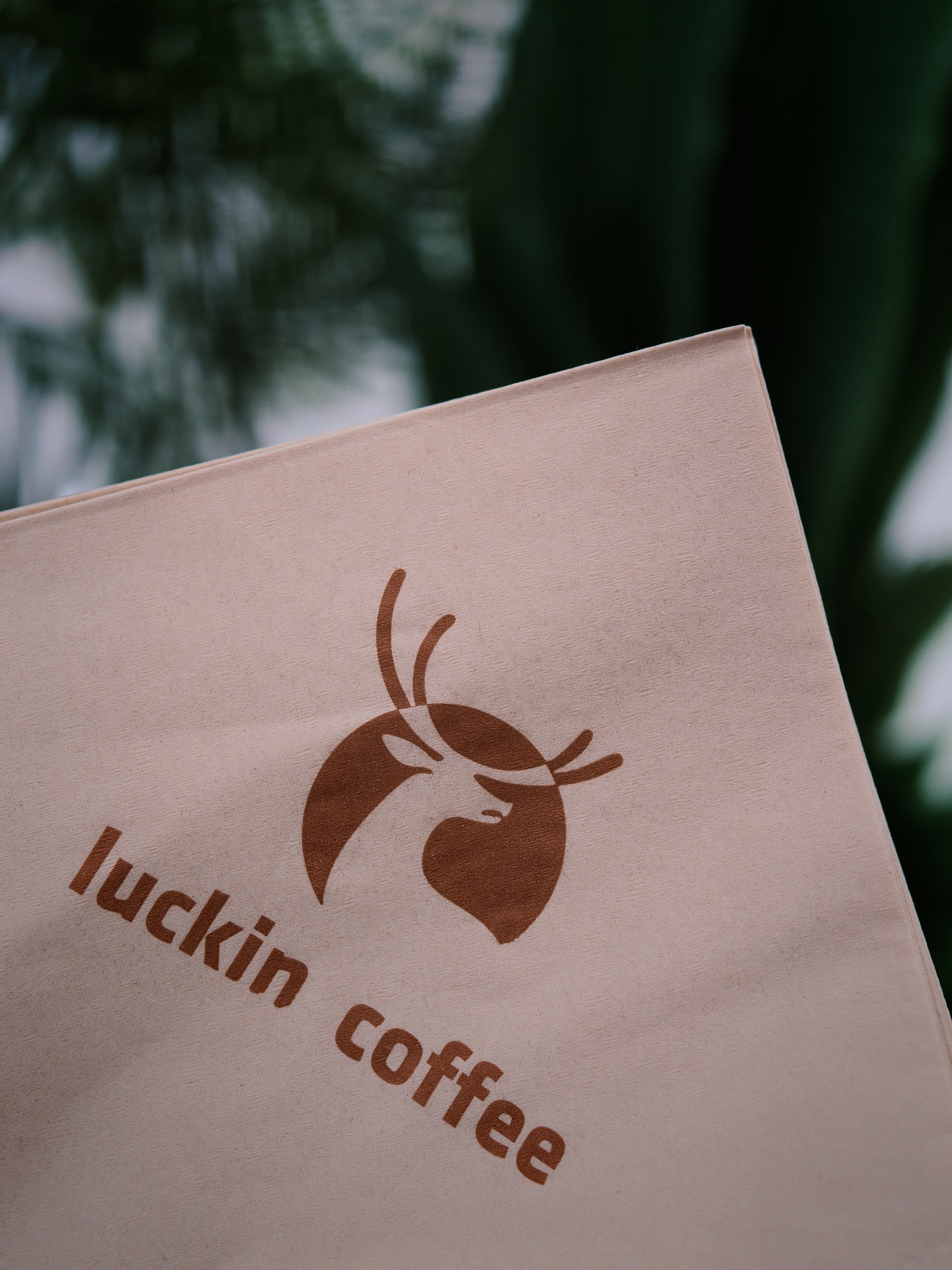 出来偷下闲～越来越喜欢OPPO的影调了，ColorOS也是安卓里我最喜欢的系