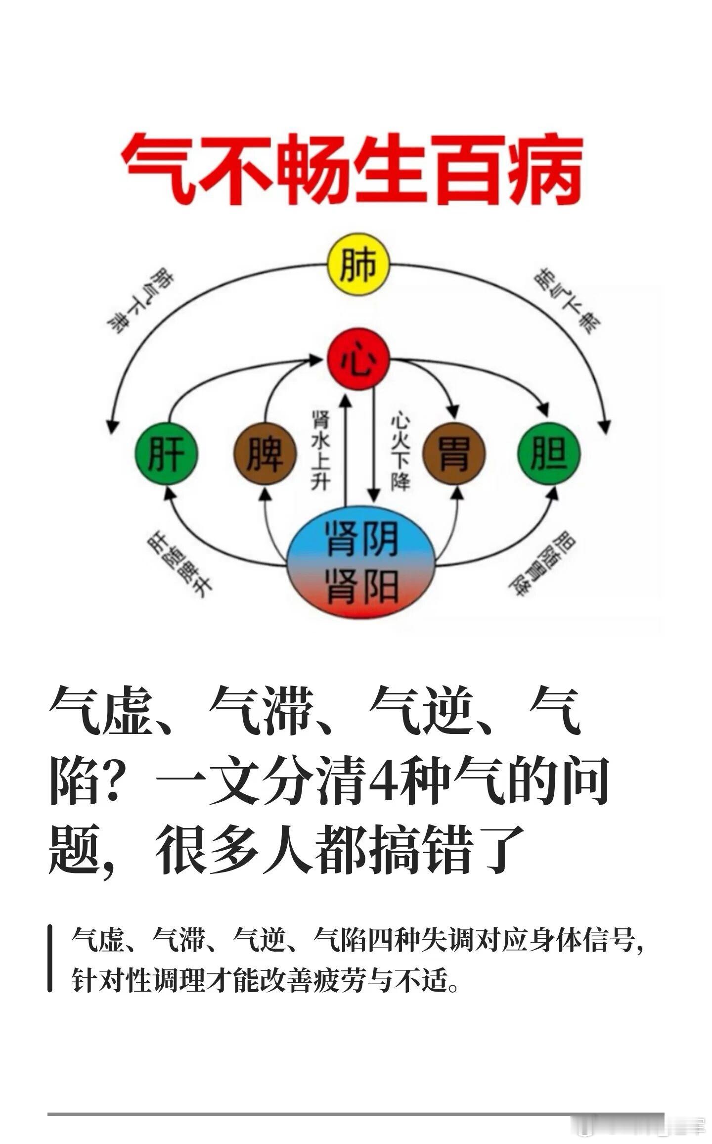 把补气先于补血、养阳重于滋阴的次第讲得透彻，也戳中了现代人养生最常见的误区：只盯