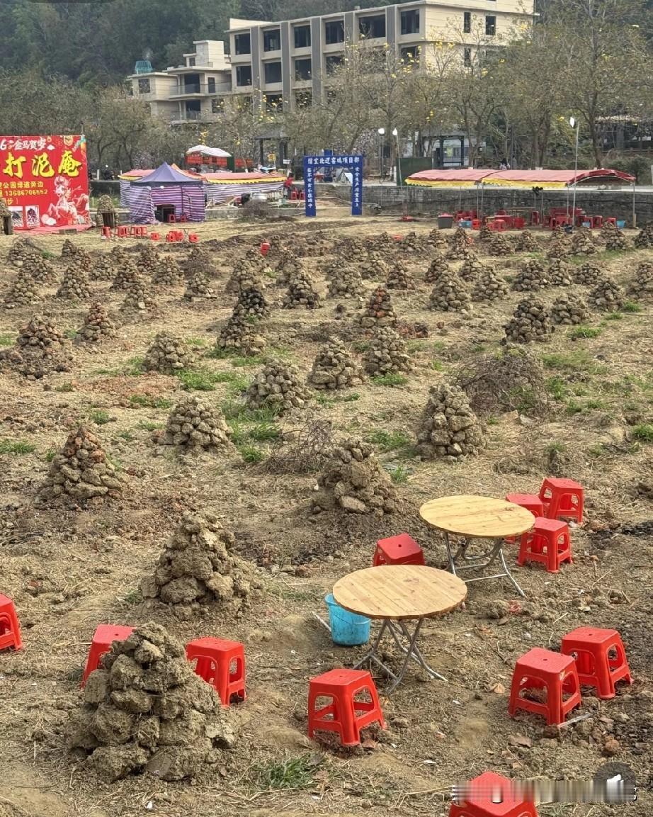 把窑鸡干成了“产业化项目”在广东信宜的空地上，我直接看傻了——上百个泥庵密