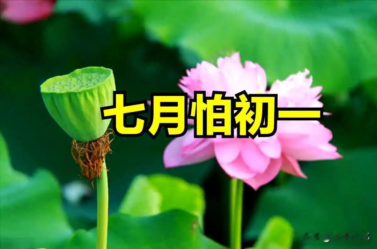 老话“七月怕初一”，明天七月初一，有啥预兆？看看农谚咋说的明天就是农历七月