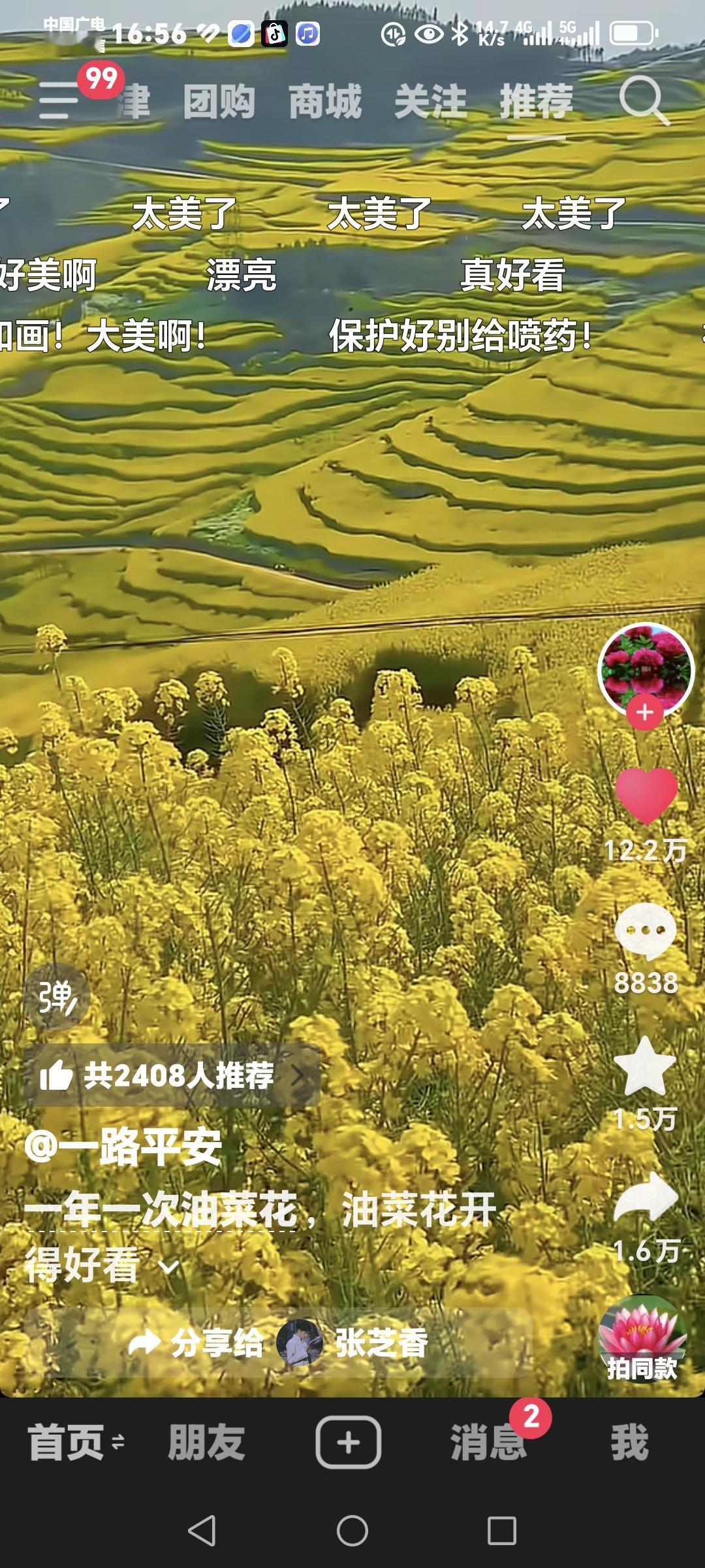 漂亮的花朵图片那可太多啦！像扶桑花就美得可爱，花色漂亮，还婀娜多姿、清香怡人。