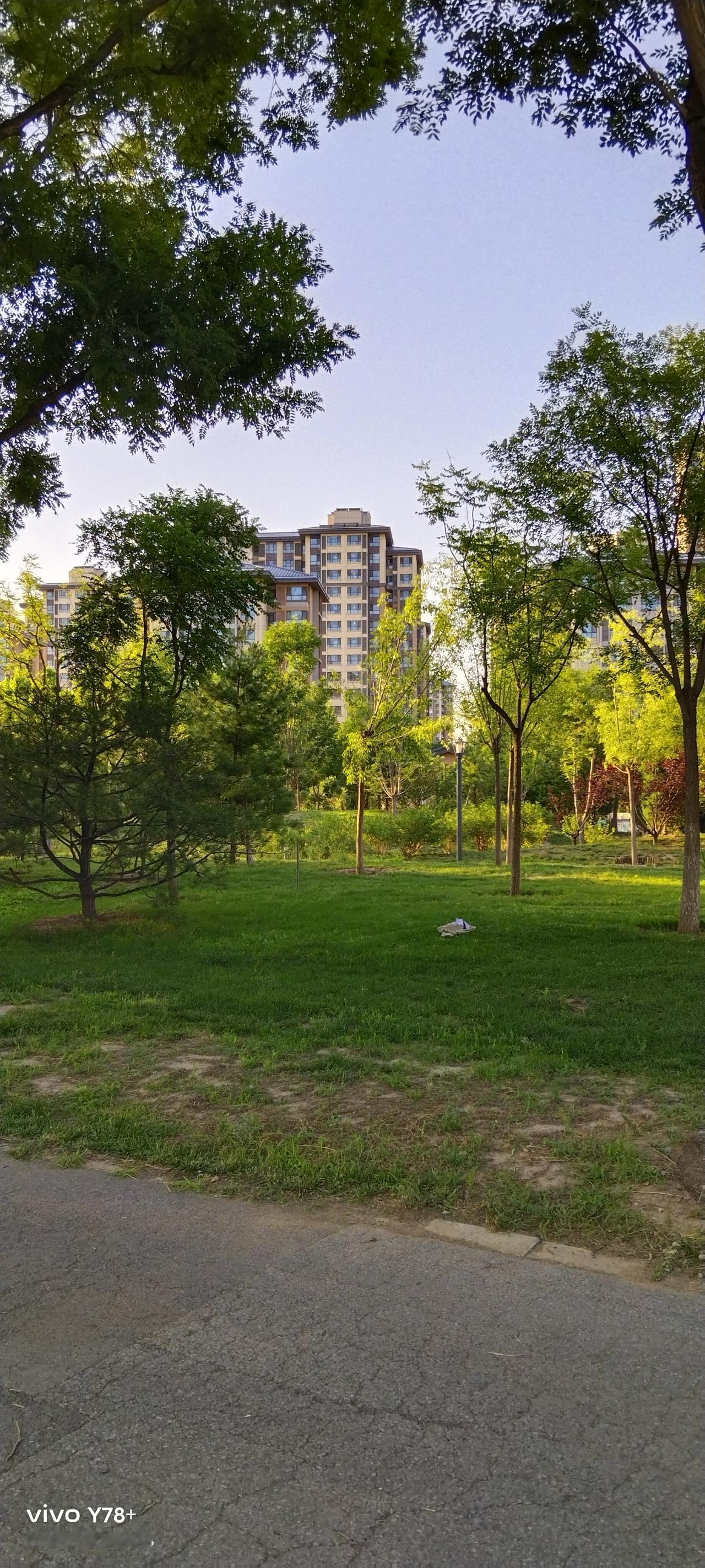 我们村一发小,1978年考到了我们县一中,1980年高中毕业,当年参加高考,没有