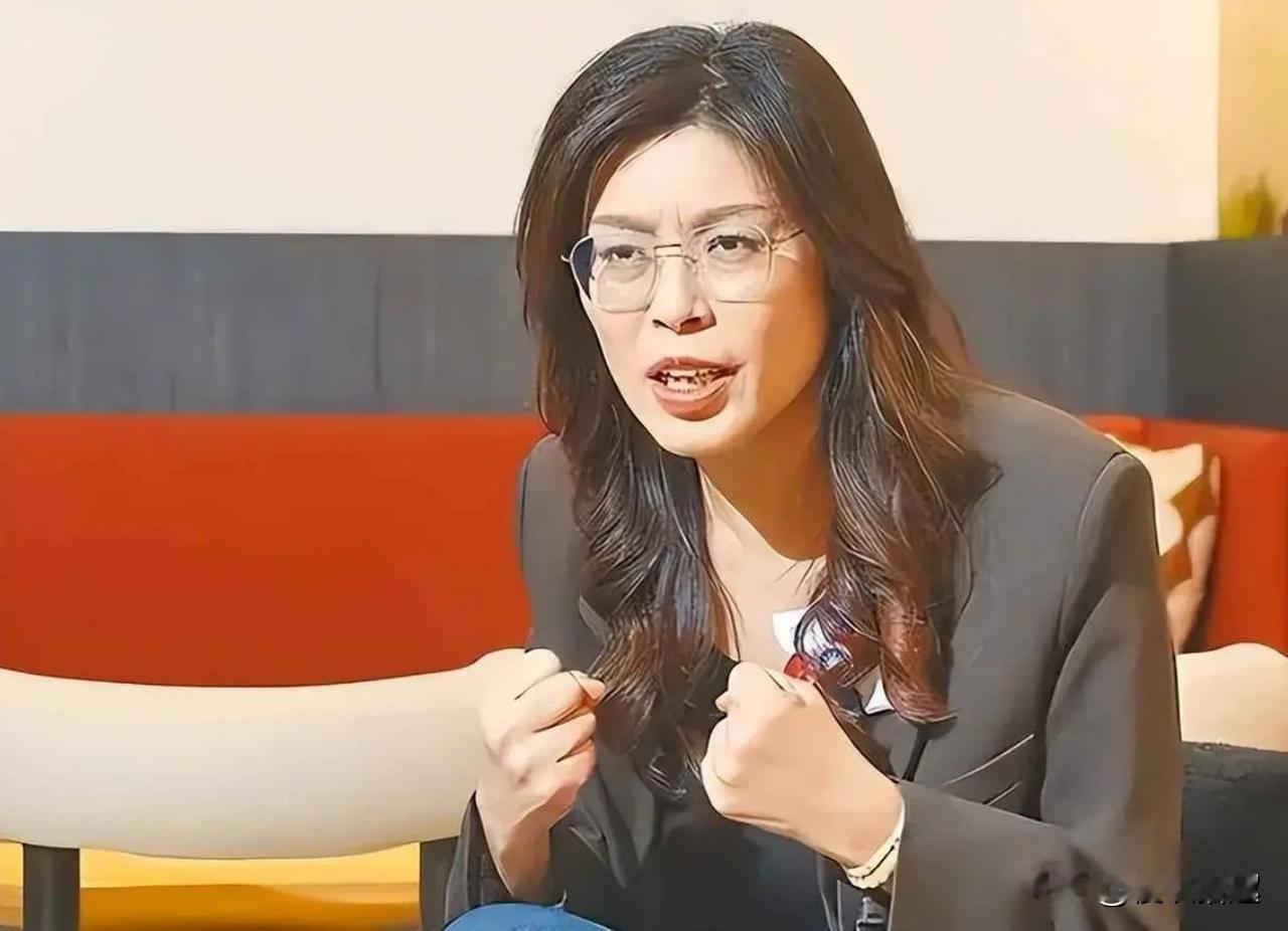 飒!郑丽文强硬回击赵少康!喊话“别被民进党带节奏”,台湾大整合引爆岛内热议