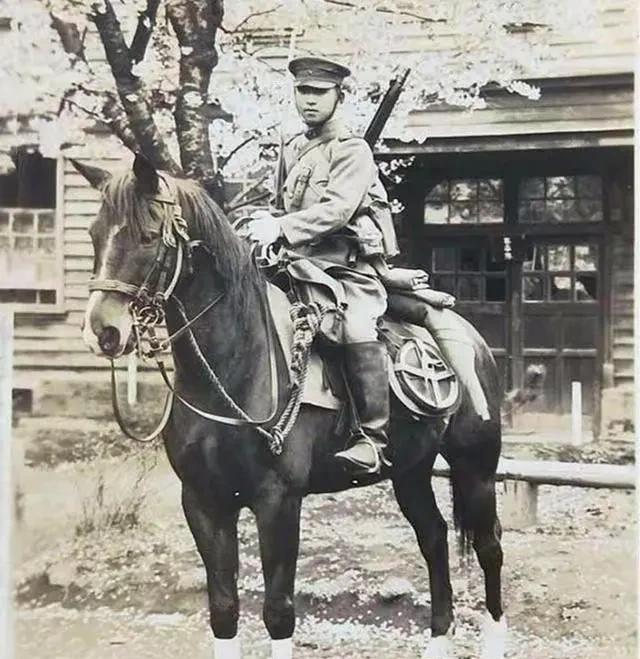 早期日本马肩高在1.1～1.3米左右，远低于其他地区马匹，因此日军骑兵被称为猴子