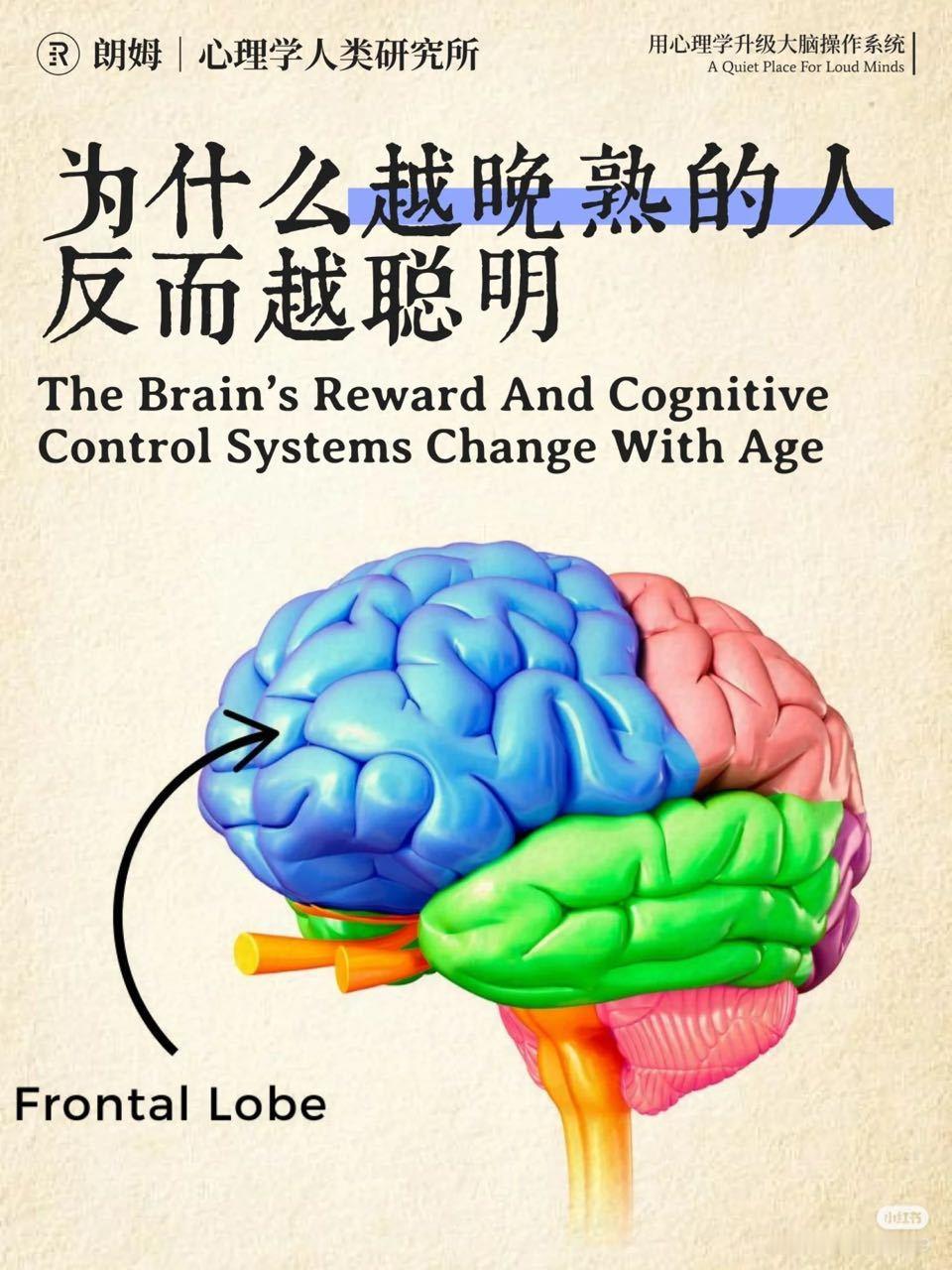 为什么越晚熟的人反而越聪明​​​