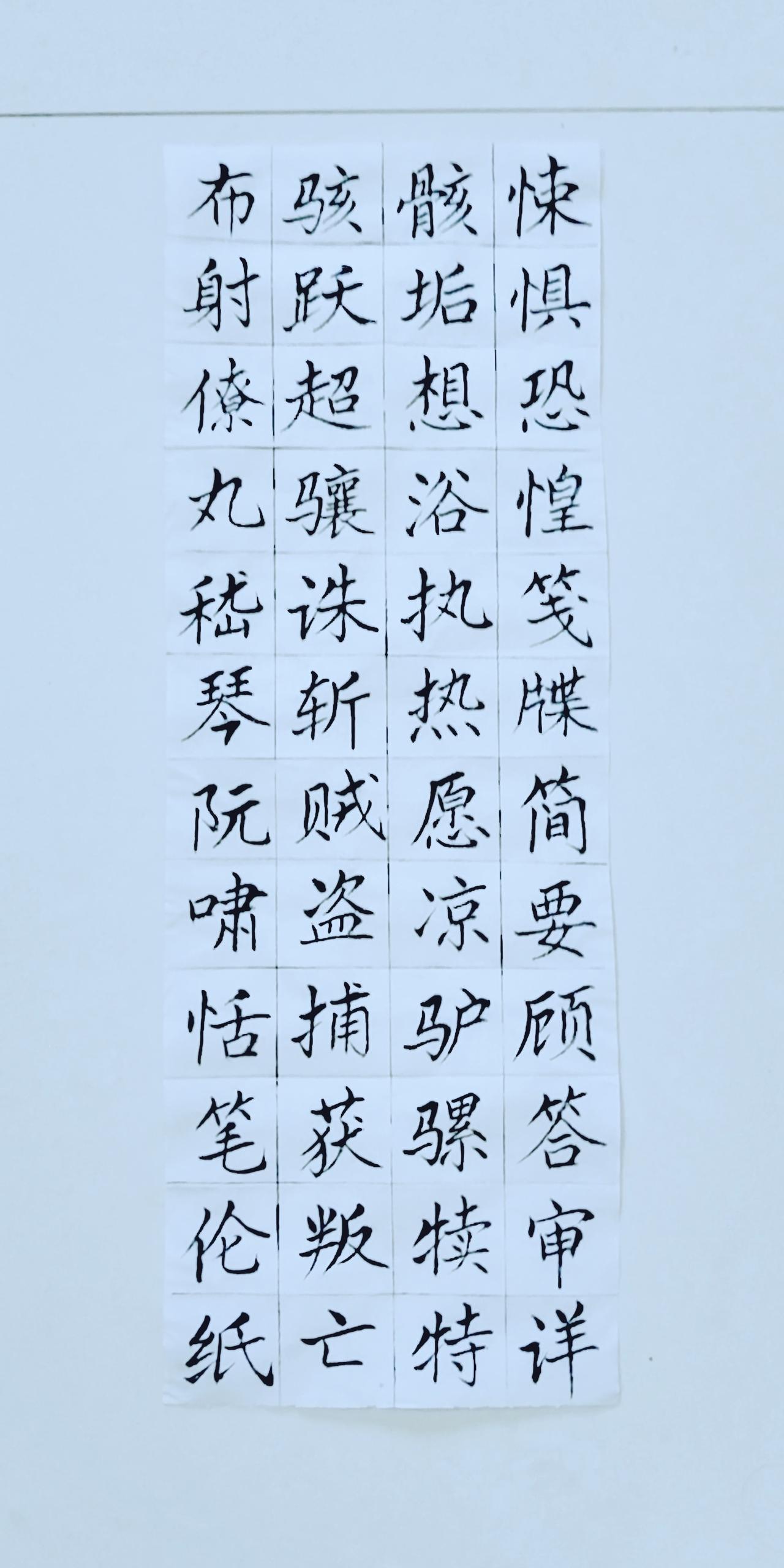 第六十四天《千字文》（19）正楷毛笔练习