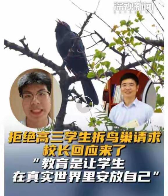 “太魔幻了！”广东深圳，一名高3学生被校园里的鸟叫声吵得几近崩溃，写信哀求校长把
