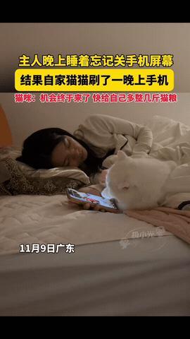 “太有灵性了！”广东，一女子躺床上玩手机，玩着玩着就睡着了，手机也没关，没想到的