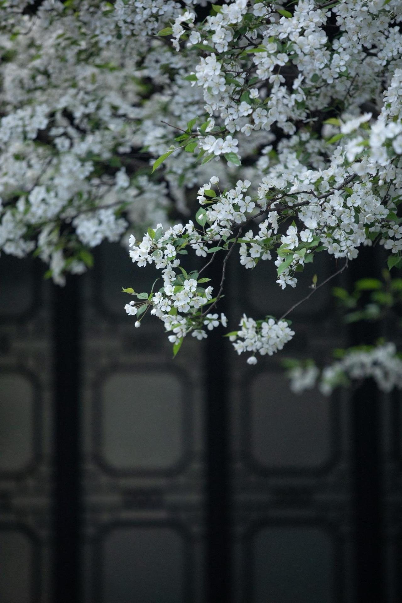 昨天和一位重点高中的老师交谈，他跟我说，孩子小学成绩出色，并不代表高中就能考入一