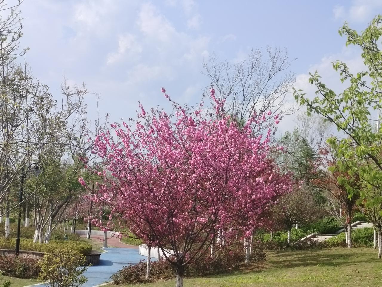 送你三句短平快的解压心法，下次觉得累的时候默念一下：1. 关于放不下：世间