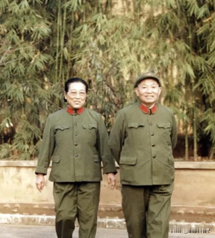 一九七八年，昆明一个普通公园里，两位穿六五式军装的老人沿着小路慢慢走。这个人叫