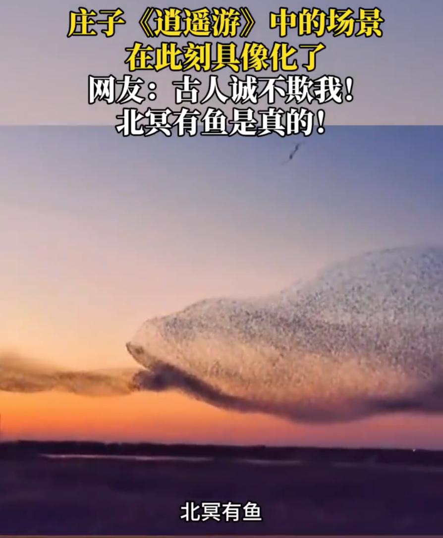 “山海经真的没骗人！”山东东营，男子去黄河口旅游区拍照，本来只想拍点落日风景。结