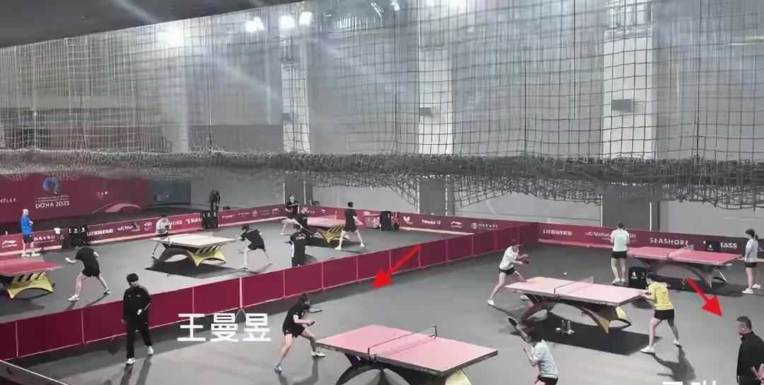 官媒发声，王曼昱主管教练敲定，鳗鱼因祸得福，马上起飞！自从巴黎奥运之后，鳗鱼