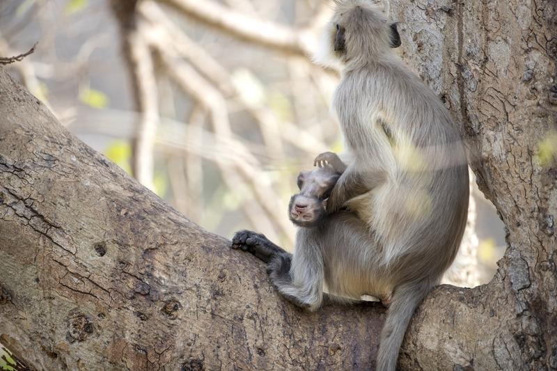 培养孩子你会选择放手吗培养孩子，我会选择放手。放手意味着信任，能让孩子学会自主